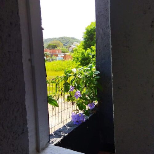 WhatsApp Image 2025-05-25 at 18.08.31