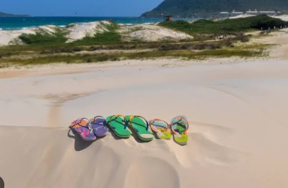 Dunas dos Ingleses em Florianópolis